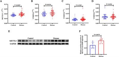 Clinical significance of the m6A methyltransferase METTL3 in peripheral blood of patients with coronary heart disease